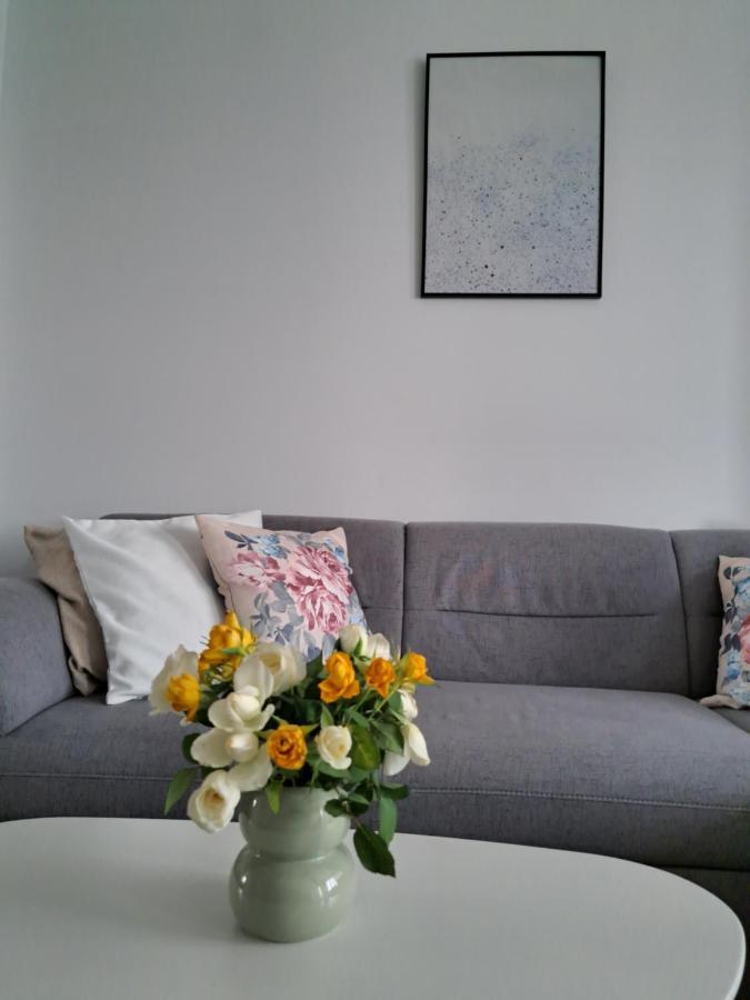 Апартаменти Apartament Onestilor Орадя Екстер'єр фото